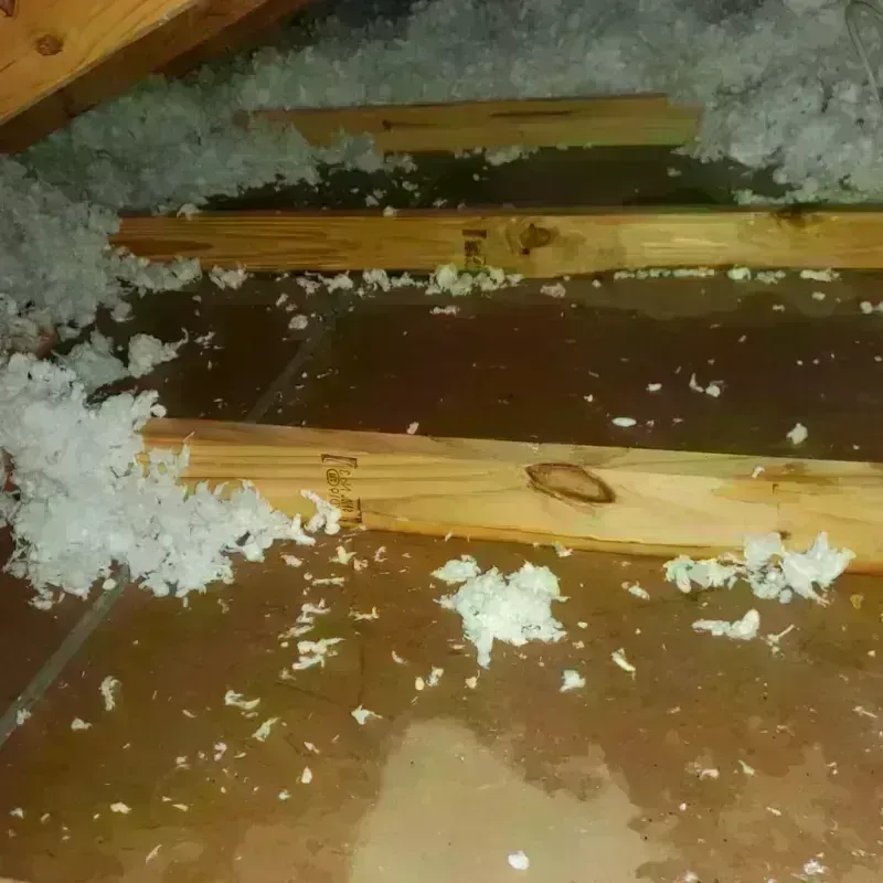 Attic Water Damage in Youngstown, NY