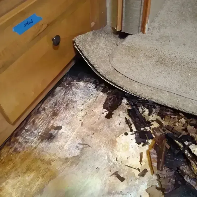 Wood Floor Water Damage in Youngstown, NY